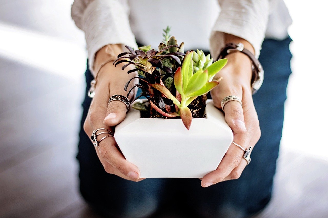 Persoon die planten ruilt op een plantenruilbeurs