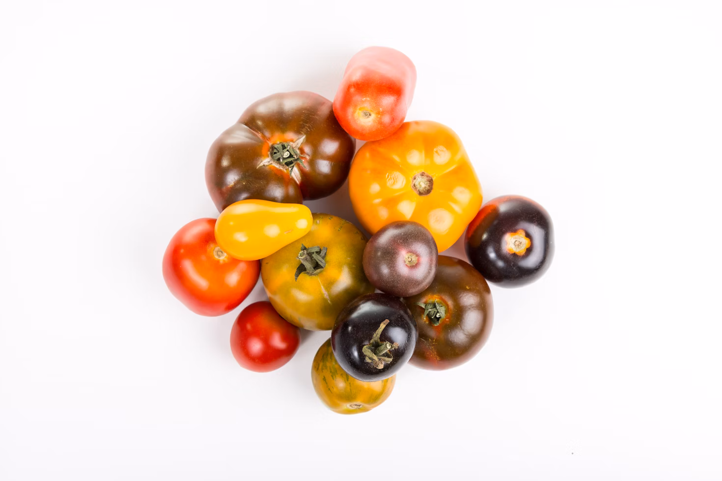 De lekkerste soorten tomatenrassen op een rij!